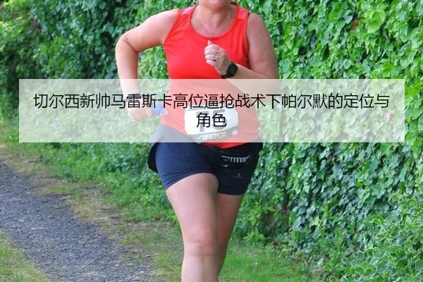 qie-er-xi-xin-shuai-ma-lei-si-ka-gao-wei-bi-qiang-zhan-shu-xia-pa-er-mo-de-ding-wei-yu-jue-se-3-931.jpg