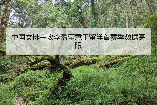 zhong-guo-nv-pai-zhu-gong-li-ying-ying-yi-jia-liu-yang-shou-sai-ji-shu-ju-liang-yan-2-693.jpg