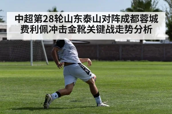 中超第28轮山东泰山对阵成都蓉城费利佩冲击金靴关键战走势分析